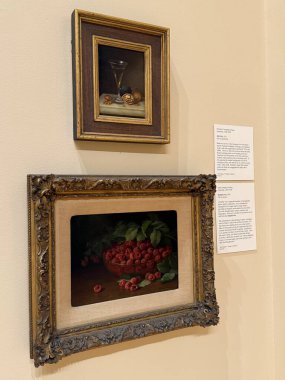 Springfield, Massachusetts 'teki Michele ve Donald DAmour Güzel Sanatlar Müzesi' nde sergi 3 Kasım 2024 'te görüldü..