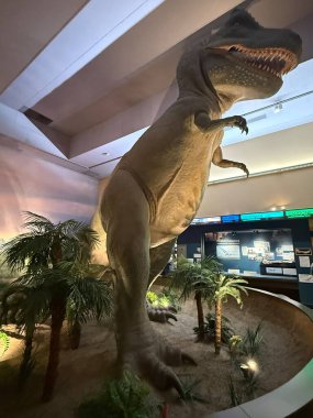 SPRINGFIELD MA - 3 Kasım 2024 'te Springfield Bilim Müzesi' nde görülen Dinozor Salonu.
