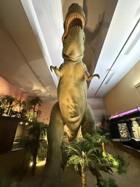 SPRINGFIELD MA - 3 Kasım 2024 'te Springfield Bilim Müzesi' nde görülen Dinozor Salonu.