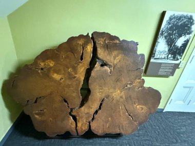 SPRINGFIELD MA - 3 Kasım 2024 'te Springfield Bilim Müzesi' nde görüldüğü gibi.