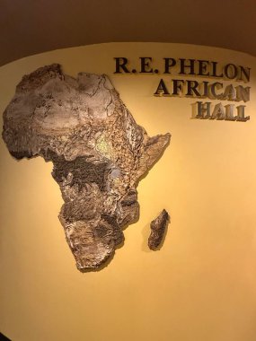 ÇİFTİN MA - 3 Kasım: R.E. 3 Kasım 2024 'te Springfield Bilim Müzesi' nde görülen Phelon Afrika Salonu..