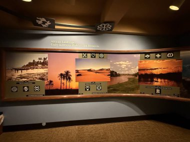 ÇİFTİN MA - 3 Kasım: R.E. 3 Kasım 2024 'te Springfield Bilim Müzesi' nde görülen Phelon Afrika Salonu..