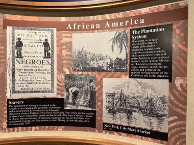 ÇİFTİN MA - 3 Kasım: R.E. 3 Kasım 2024 'te Springfield Bilim Müzesi' nde görülen Phelon Afrika Salonu..