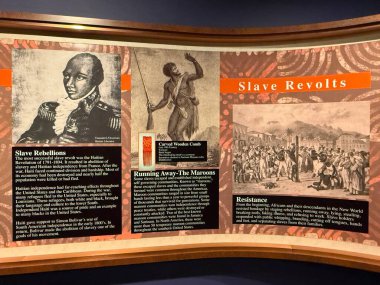 ÇİFTİN MA - 3 Kasım: R.E. 3 Kasım 2024 'te Springfield Bilim Müzesi' nde görülen Phelon Afrika Salonu..