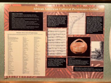 ÇİFTİN MA - 3 Kasım: R.E. 3 Kasım 2024 'te Springfield Bilim Müzesi' nde görülen Phelon Afrika Salonu..