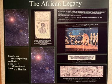 ÇİFTİN MA - 3 Kasım: R.E. 3 Kasım 2024 'te Springfield Bilim Müzesi' nde görülen Phelon Afrika Salonu..