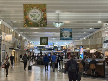 ST Paul, MN - 23 Nisan 2025 'te Minneapolis-Saint Paul Uluslararası Havalimanı' nda görüldü..