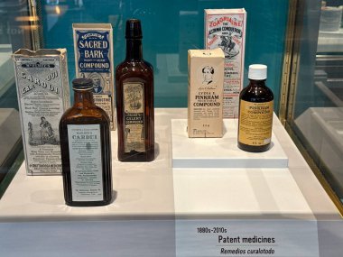 ST Paul, MN - 21 Nisan 2024 'te St. Paul, MN' deki Minnesota Bilim Müzesi 'nde sergi.