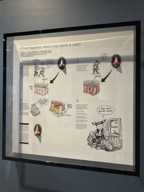 ST Paul, MN - 21 Nisan 2024 'te St. Paul, MN' deki Minnesota Bilim Müzesi 'nde sergi.