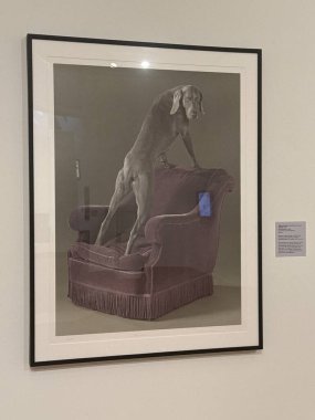 MINNEAPOLIS MN - 23 Nisan 2025 'te Minneapolis' teki Minnesota Üniversitesi 'ndeki Weisman Sanat Üniversitesi' nde sergi.