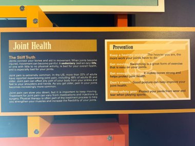 JACKSONVILLE, FL - 22 Şubat 2025 'te Jacksonville, Florida' daki MOSH 'ta Sağlık Hareketi sergisi (Bilim ve Tarih Müzesi).