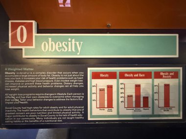JACKSONVILLE, FL - 22 Şubat 2025 'te Jacksonville, Florida' daki MOSH 'ta Sağlık Hareketi sergisi (Bilim ve Tarih Müzesi).