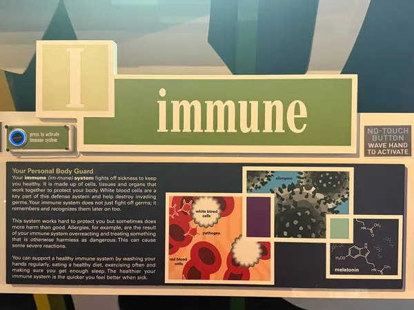JACKSONVILLE, FL - 22 Şubat 2025 'te Jacksonville, Florida' daki MOSH 'ta Sağlık Hareketi sergisi (Bilim ve Tarih Müzesi).