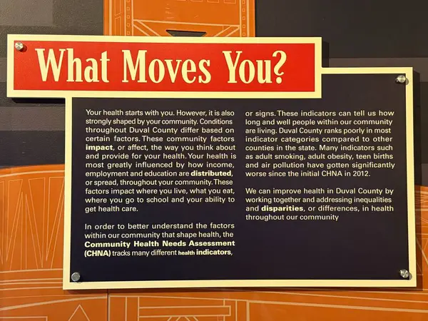 JACKSONVILLE, FL - 22 Şubat 2025 'te Jacksonville, Florida' daki MOSH 'ta Sağlık Hareketi sergisi (Bilim ve Tarih Müzesi).