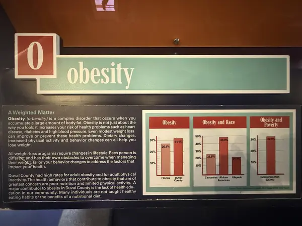 JACKSONVILLE, FL - 22 Şubat 2025 'te Jacksonville, Florida' daki MOSH 'ta Sağlık Hareketi sergisi (Bilim ve Tarih Müzesi).