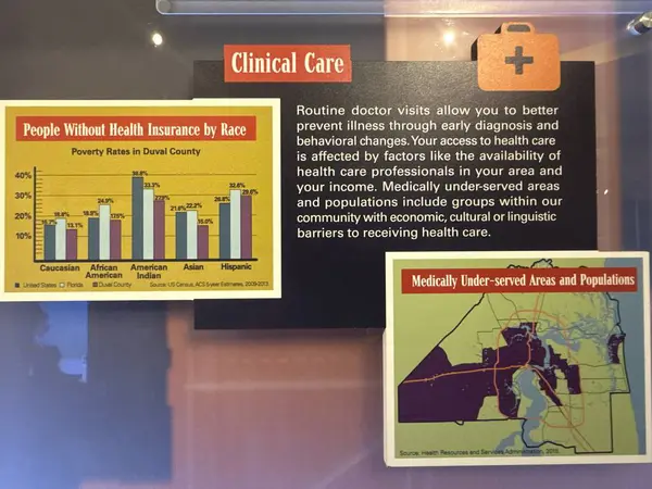 JACKSONVILLE, FL - 22 Şubat 2025 'te Jacksonville, Florida' daki MOSH 'ta Sağlık Hareketi sergisi (Bilim ve Tarih Müzesi).