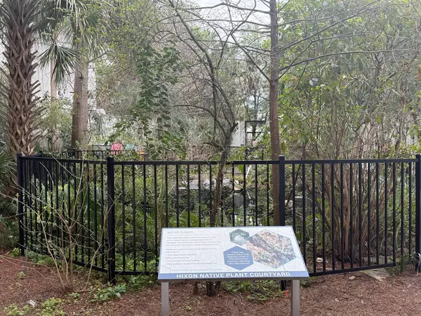 JACKSONVILLE, FL - 22 Şubat 2025 'te Jacksonville, Florida' daki MOSH (Bilim ve Tarih Müzesi) Hixon Yerli Bitki Bahçesi.