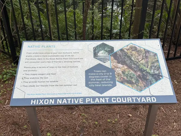JACKSONVILLE, FL - 22 Şubat 2025 'te Jacksonville, Florida' daki MOSH (Bilim ve Tarih Müzesi) Hixon Yerli Bitki Bahçesi.