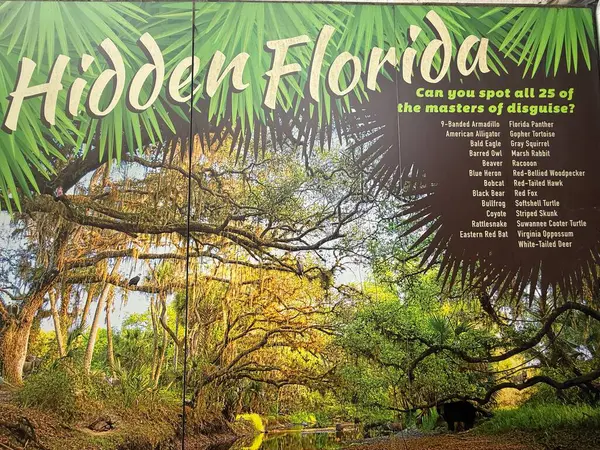 JACKSONVILLE, FL - 22 Şubat 2025 'te Jacksonville, Florida' daki MOSH (Bilim ve Tarih Müzesi) Hixon Yerli Bitki Bahçesi.