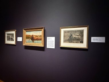 JACKSONVILLE, FL - 23 Şubat 2025 'te Jacksonville, Florida' daki Cummer Sanat ve Bahçeler Müzesi 'nde Birlikte Çekilen Sergi.