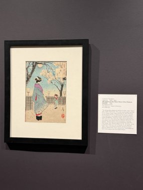 JACKSONVILLE, FL - 23 Şubat: Jacksonville, Florida 'daki Cummer Sanat ve Bahçeler Müzesi' nde sergi, 23 Şubat 2025.