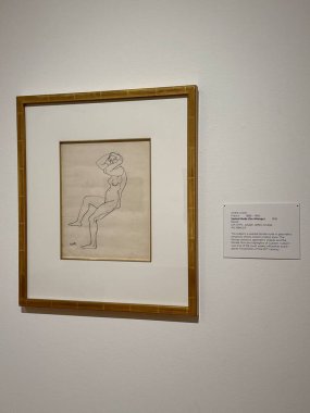 JACKSONVILLE, FL - 23 Şubat: Jacksonville, Florida 'daki Cummer Sanat ve Bahçeler Müzesi' nde sergi, 23 Şubat 2025.