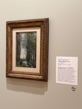 JACKSONVILLE, FL - 23 Şubat: Jacksonville, Florida 'daki Cummer Sanat ve Bahçeler Müzesi' nde sergi, 23 Şubat 2025.