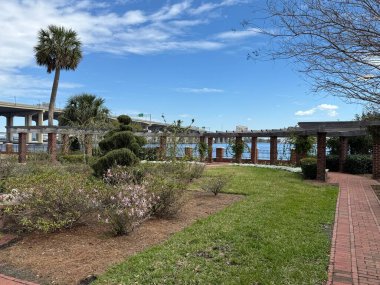 JACKSONVILLE, FL - 23 Şubat 2025 'te Jacksonville, Florida' daki Cummer Sanat ve Bahçeler Müzesi 'nde görüldü..