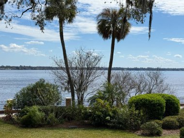 JACKSONVILLE, FL - 23 Şubat 2025 'te Jacksonville, Florida' daki Cummer Sanat ve Bahçeler Müzesi 'nde görüldü..