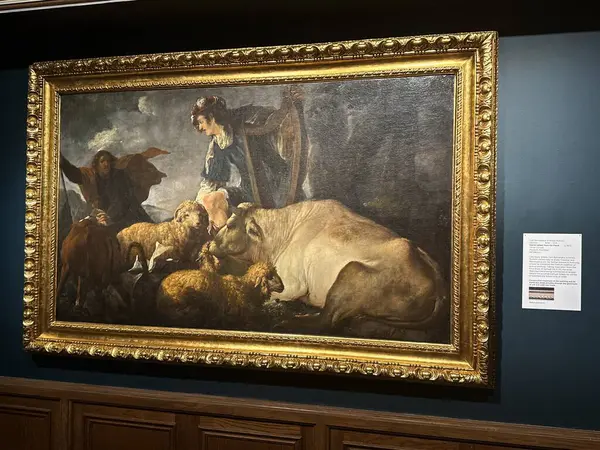 JACKSONVILLE, FL - 23 Şubat: Jacksonville, Florida 'daki Cummer Sanat ve Bahçeler Müzesi' nde sergi, 23 Şubat 2025.