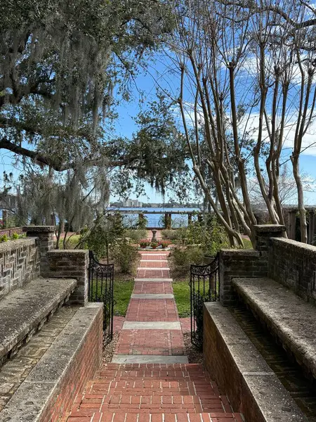 JACKSONVILLE, FL - 23 Şubat 2025 'te Jacksonville, Florida' daki Cummer Sanat ve Bahçeler Müzesi 'nde görüldü..