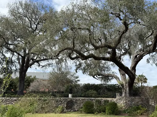 JACKSONVILLE, FL - 23 Şubat 2025 'te Jacksonville, Florida' daki Cummer Sanat ve Bahçeler Müzesi 'nde görüldü..
