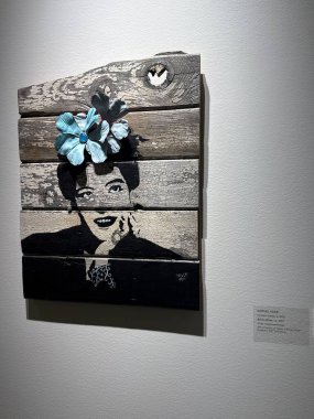 JACKSONVILLE, FL - 23 Şubat 2025 'te Jacksonville, Florida' daki Çağdaş Sanat Müzesi 'nde sergi.