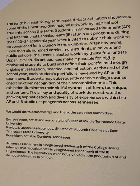 Nashville, Tennessee 'deki Frist Sanat Müzesi' nde 2 Mart 2025 'te görülen genç Tennessee Sanatçıları 2024 sergisi..