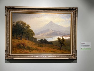 2 Mart 2025 'te Nashville, Tennessee' deki The Parthenon 'da Cowan Amerikan Sanat Koleksiyonu sergisi.