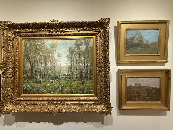 FAIRFIELD CT - 15 Mart 2025 'te Fairfield, Connecticut' taki Fairfield Üniversitesi 'ndeki Sanat Müzesi' nde sergi.