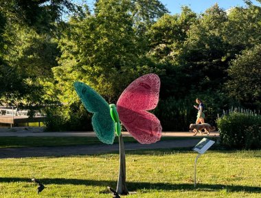 Chicago, IL - 30 Haziran 2024 'te Chicago, Illinois' de Kelebek Uçuşu sergisi.