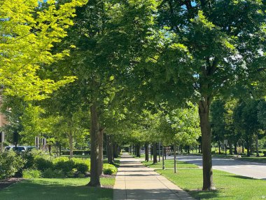 SOUTH BEND, IN - 30 Haziran 2024 'te South Bend, Indiana' daki Notre Dame Üniversitesi 'nde kampüs.