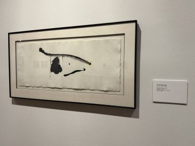 WILMINGTON, NC - 12 Nisan 2025 'te Wilmington, Kuzey Carolina' daki Cameron Sanat Müzesinde Oyun Değiştiricileri sergisi.