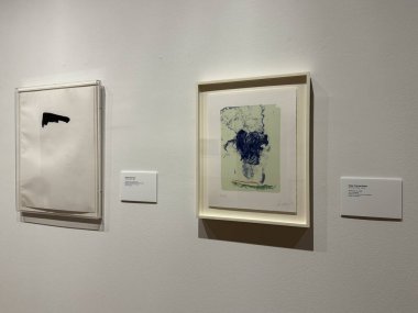 WILMINGTON, NC - 12 Nisan 2025 'te Wilmington, Kuzey Carolina' daki Cameron Sanat Müzesinde Oyun Değiştiricileri sergisi.