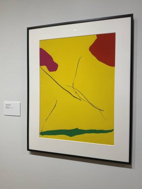 WILMINGTON, NC - 12 Nisan 2025 'te Wilmington, Kuzey Carolina' daki Cameron Sanat Müzesinde Oyun Değiştiricileri sergisi.