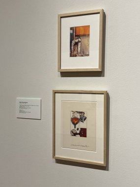 WILMINGTON, NC - 12 Nisan 2025 'te Wilmington, Kuzey Carolina' daki Cameron Sanat Müzesinde Oyun Değiştiricileri sergisi.