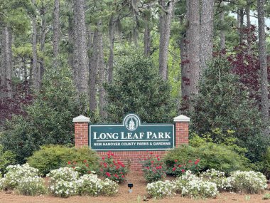 WILMINGTON, NC - 12 Nisan 2025 'te Wilmington, Kuzey Carolina' daki Long Leaf Park.