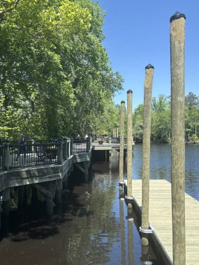 Conway, South Carolina 'da 16 Nisan 2025' te Conway Nehir Yolu 'nda görüldü..