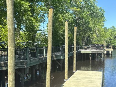 Conway, South Carolina 'da 16 Nisan 2025' te Conway Nehir Yolu 'nda görüldü..