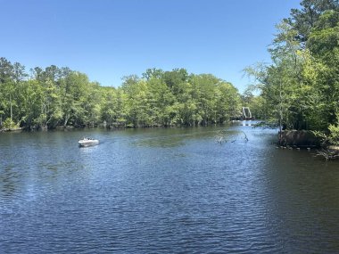 Conway, South Carolina 'da 16 Nisan 2025' te Conway Nehir Yolu 'nda görüldü..