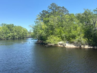 Conway, South Carolina 'da 16 Nisan 2025' te Conway Nehir Yolu 'nda görüldü..