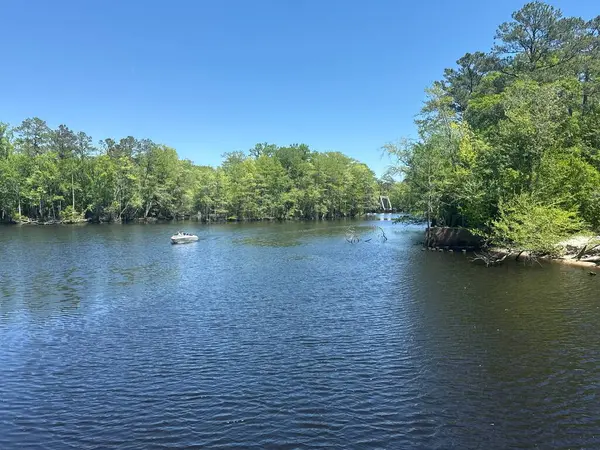 Conway, South Carolina 'da 16 Nisan 2025' te Conway Nehir Yolu 'nda görüldü..