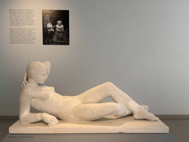 REYKJAVIK, ICELAND - 23 Temmuz 2025 'te Reykjavik, İzlanda' daki Gerdarsafn Kopavogur Sanat Müzesi 'nde sergi.