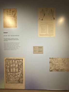 New Haven, Connecticut 'taki Yale Peabody Müzesi' nde 3 Mayıs 2025 'te görüldüğü gibi..